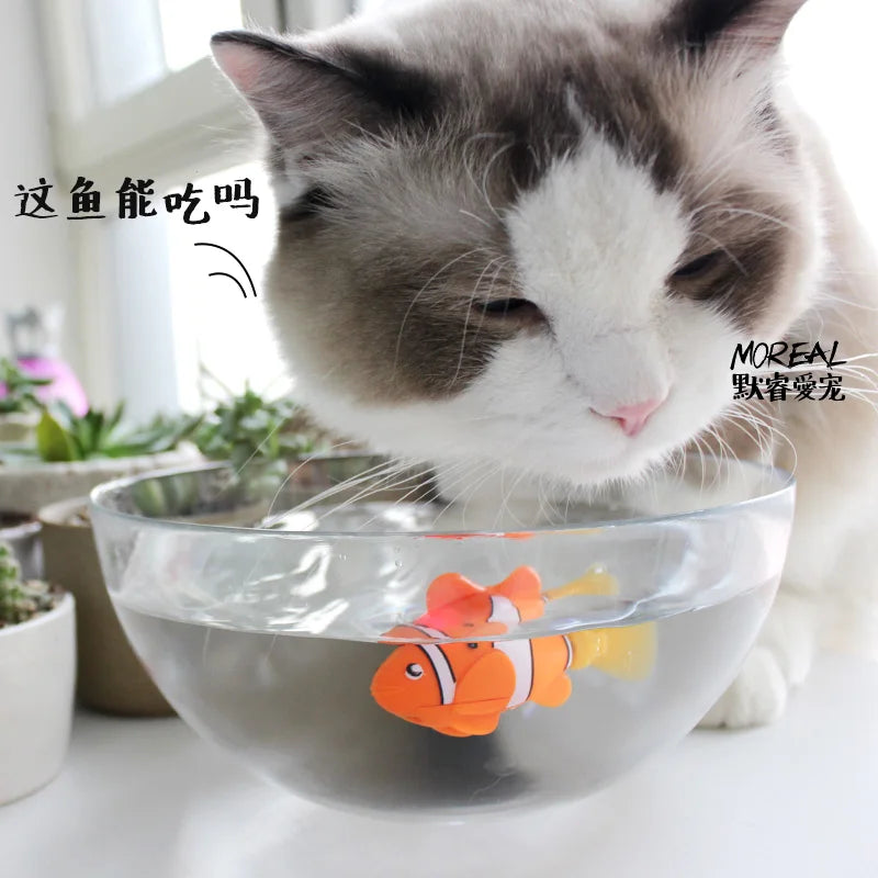 Battery-Powered Fish Cat Toy - Clownfish, Angelfish, Many Colors Available